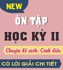 Ôn tập Học kỳ II (CD)